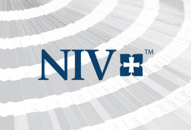 NIV Bible 