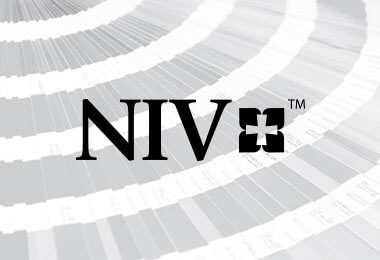 NIV Bible logo 